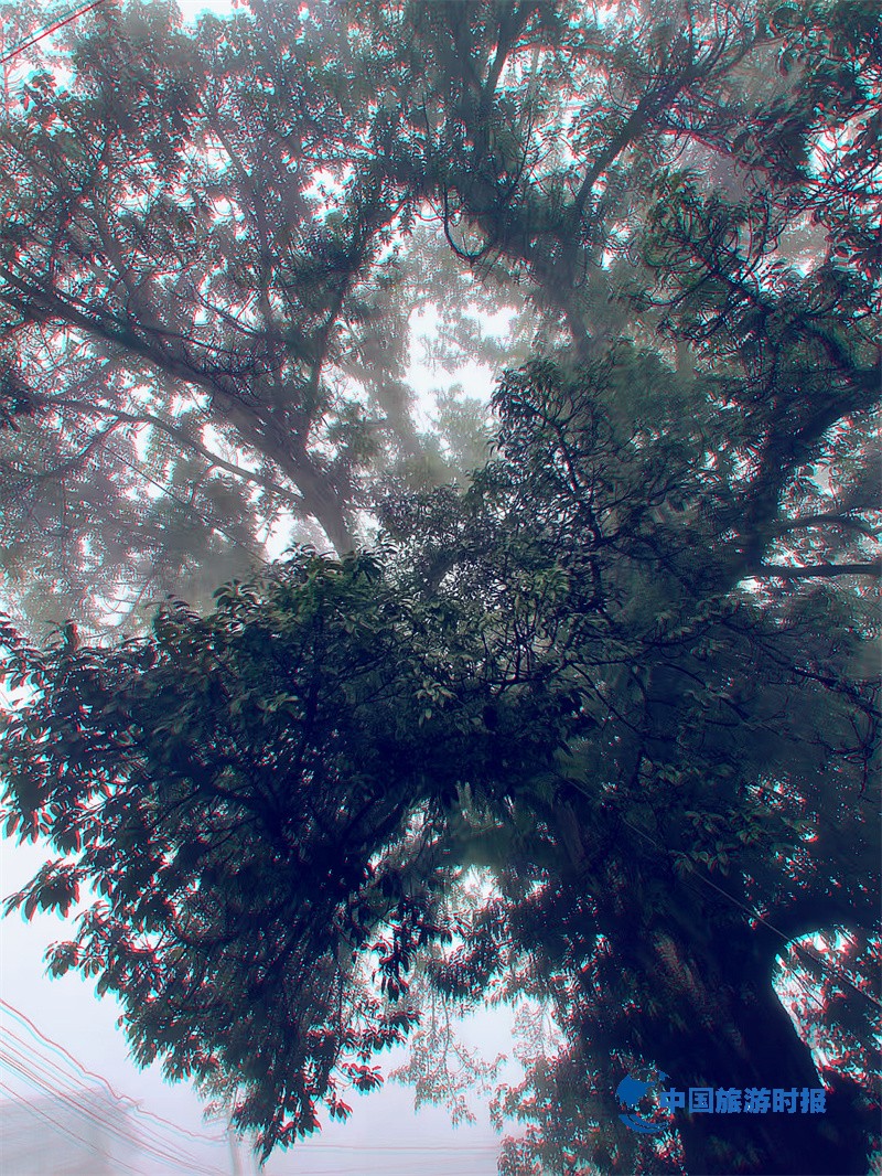 微信图片_2025-07-05_191626_951.jpg